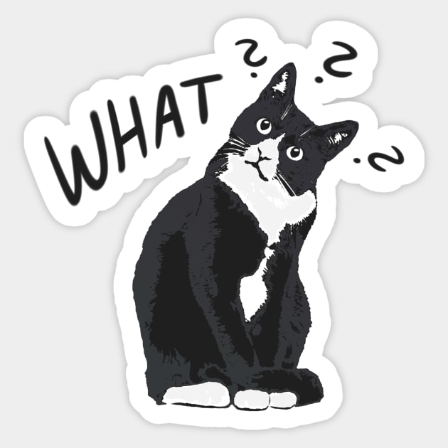 Confused Cat Sticker by ImaginativeWild